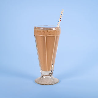 Celebrate® ReBuild Protein + Probiotikum, prášek